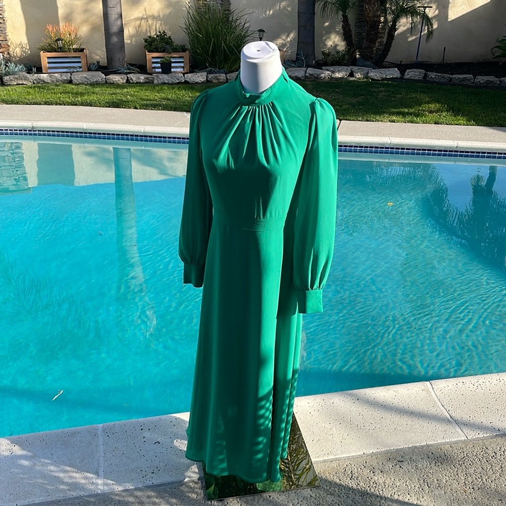 NWOT| Gorgeous green maxi long, sleeve (sheer sleeves) dress | Sz S